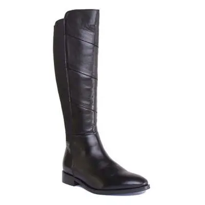 Justinreess England Mila women's High Boots in Black