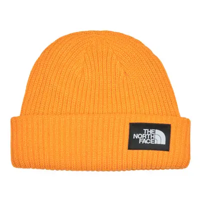 The North Face SALTY LINED BEANIE women's Beanie in Yellow