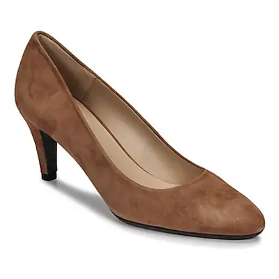 JB Martin HOUCHKA women's Court Shoes in Brown