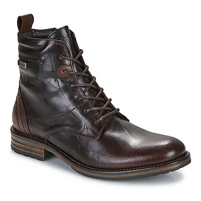 Casual Attitude TYLIAN men's Mid Boots in Brown