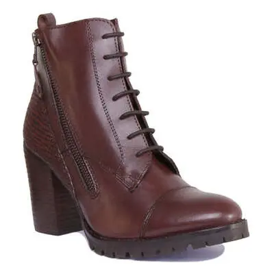 Justinreess England Hilary women's Low Ankle Boots in Brown