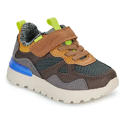 Shoo Pom JOGGY SCRATCH boys's Children's Shoes (Trainers) in Brown