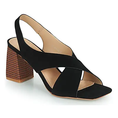 Vanessa Wu SD2409NR women's Sandals in Black