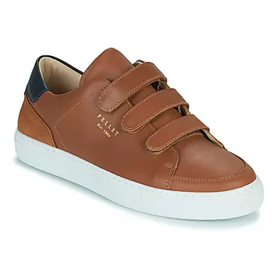 Pellet SID men's Shoes (Trainers) in Brown