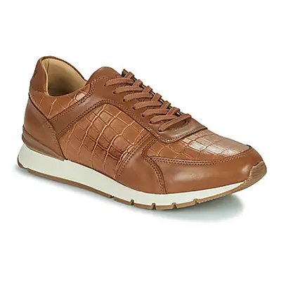 Pellet MAXIM men's Shoes (Trainers) in Brown