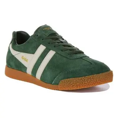 Gola Harrier women's Trainers in Green