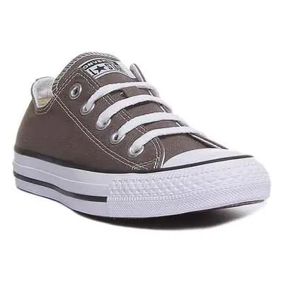 Converse All Star Low Trainer women's Trainers in Grey