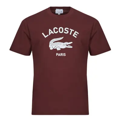 Lacoste TH2733 men's T shirt in Bordeaux