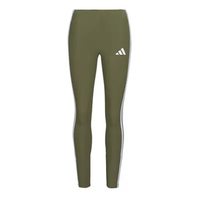 Adidas JC5574 women's Tights in Green