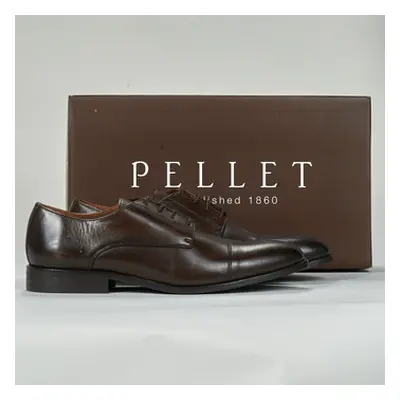 Pellet BREST men's Casual Shoes in Brown