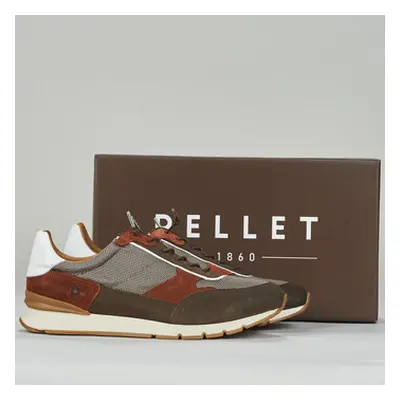 Pellet MILOU men's Shoes (Trainers) in Brown