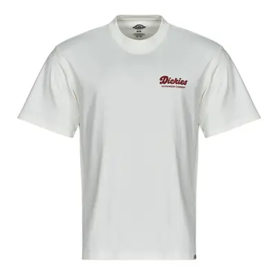 Dickies LEWISTOWN SS TEE men's T shirt in White