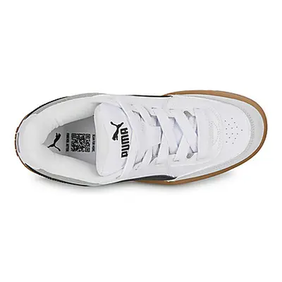 Puma Park Lifestyle SK8 men's Shoes (Trainers) in White