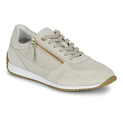 Geox D CALITHE women's Shoes (Trainers) in Beige