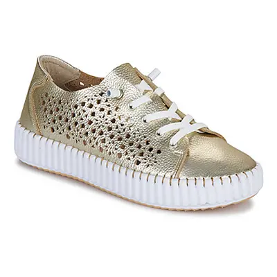 YOKONO SINTRA women's Shoes (Trainers) in Gold