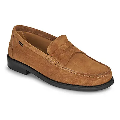 Carlington WILL men's Loafers / Casual Shoes in Brown