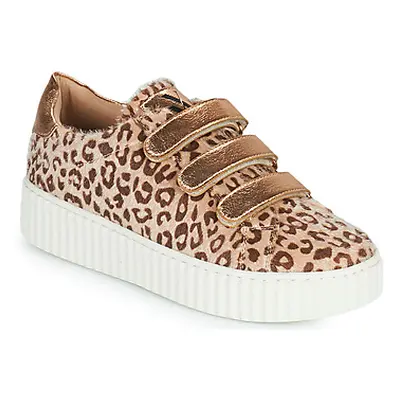 Vanessa Wu SUET women's Shoes (Trainers) in Brown