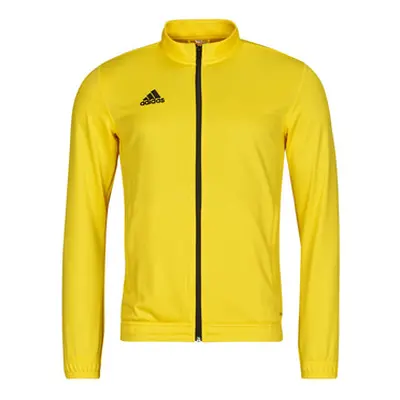 Adidas HI2134 men's Tracksuit jacket in Yellow