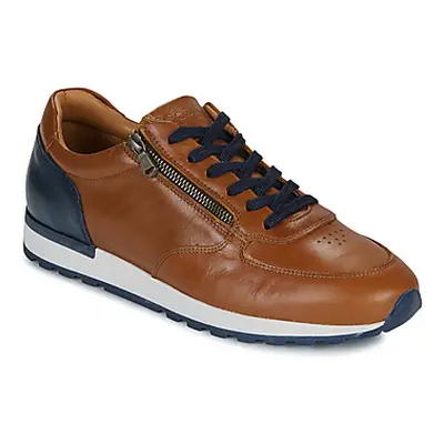 Casual Attitude BILANO men's Shoes (Trainers) in Brown