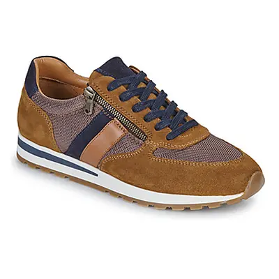 Casual Attitude BILANE men's Shoes (Trainers) in Brown