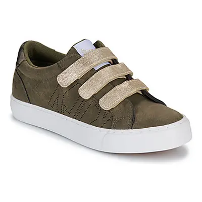 Kaporal TIPPYK women's Shoes (Trainers) in Kaki