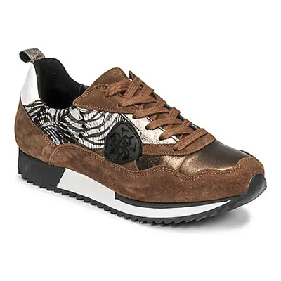 Philippe Morvan ROXA women's Shoes (Trainers) in Brown