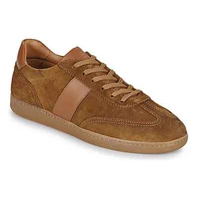 Carlington BASTIA men's Shoes (Trainers) in Brown