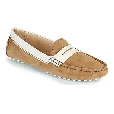 JB Martin 1TABATA women's Loafers / Casual Shoes in Brown