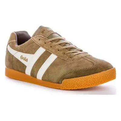 Gola Harrier men's Trainers in Green