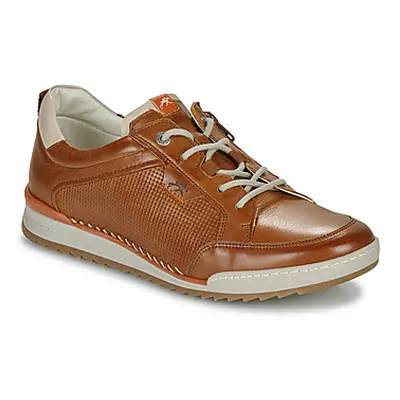 Fluchos ELDER men's Shoes (Trainers) in Brown