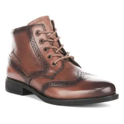 Josef Seibel Simona 08 women's Boots in Brown