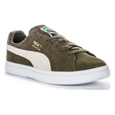 Puma Court Star Suede women's Trainers in Green