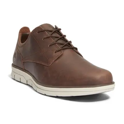 Timberland BRADSTREET LOW men's Shoes (Trainers) in Brown