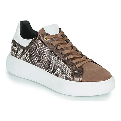 JB Martin HIBISCUS women's Shoes (Trainers) in Brown