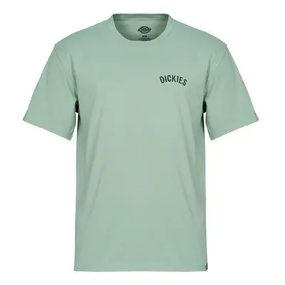 Dickies DICKIES SNAKE SS TEE men's T shirt in Green