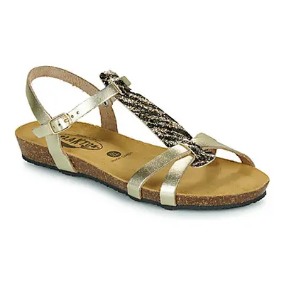 Plakton FRAN COCO women's Sandals in Gold