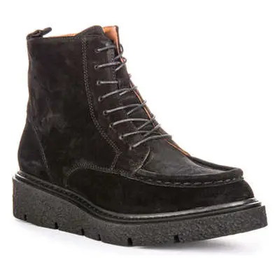 Justinreess England Alani women's Boots in Black