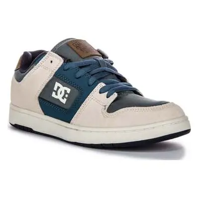 DC Shoes Manteca 4 men's Trainers in Grey