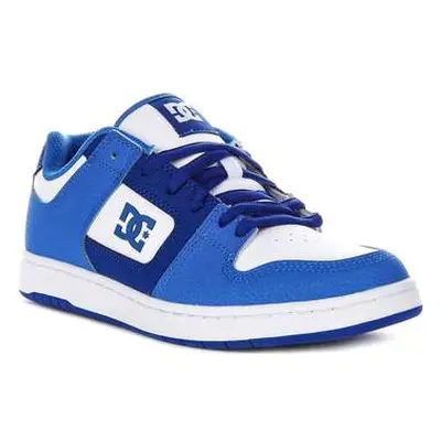 DC Shoes Manteca 4 men's Trainers in Multicolour