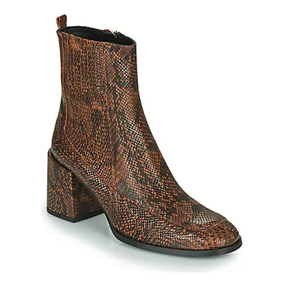 Fericelli NAKE women's Low Ankle Boots in Brown