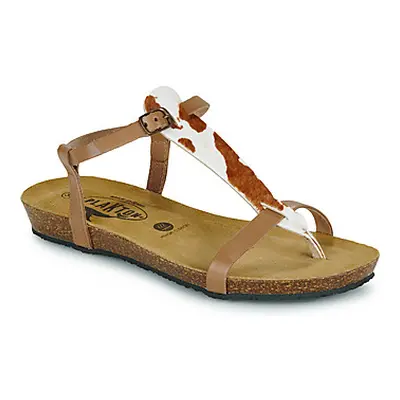 Plakton FRAN ZOUK women's Sandals in Brown