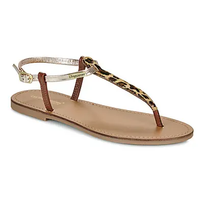 Les Tropéziennes par M Belarbi HARVIL women's Sandals in Brown