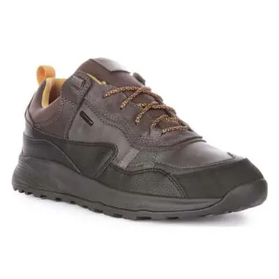 Geox U Terrestre B men's Trainers in Grey