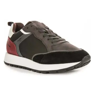 Geox U Partenio B men's Trainers in Brown