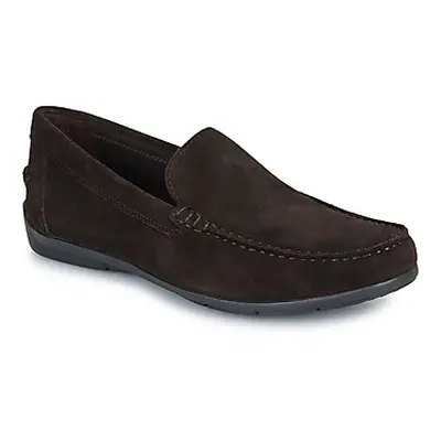 Geox U SIRON men's Loafers / Casual Shoes in Brown