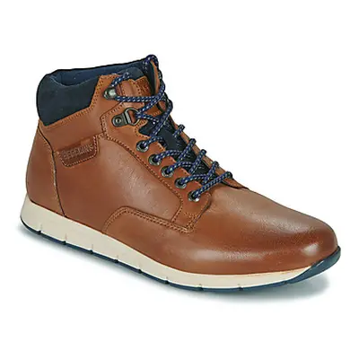 Redskins SADILY men's Shoes (High-top Trainers) in Brown