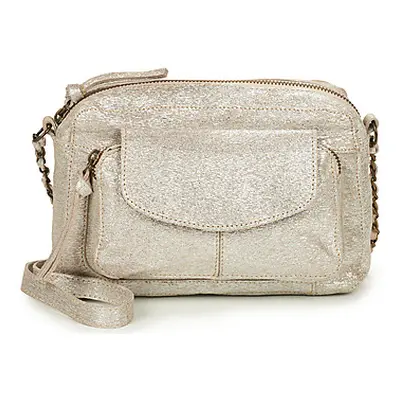 Pieces PCNAINA women's Shoulder Bag in Silver