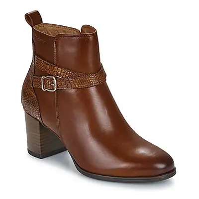 Tamaris NEMESIS women's Low Ankle Boots in Brown