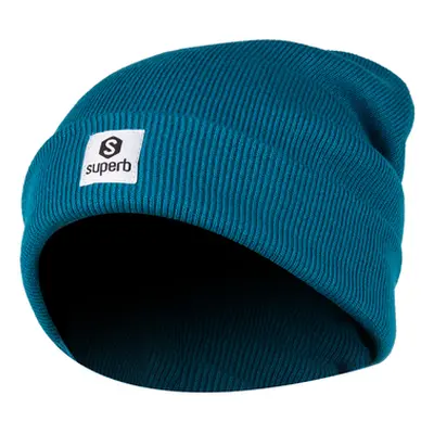 Superb 1982 SPRBG-003-AT men's Beanie in Blue