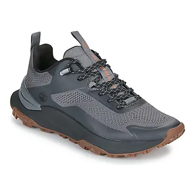 Timberland MOTION ACCESS LOW LACE UP men's Shoes (Trainers) in Grey